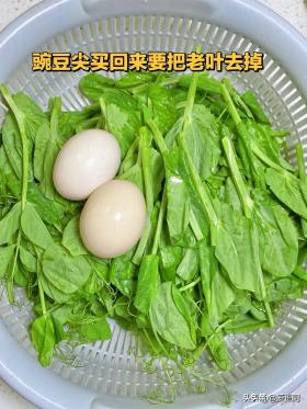 豌豆尖鸡蛋汤细节