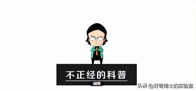 体验“种猪王”的一生：拥有上万后代，但一辈子没碰过母猪~