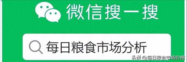 2024年10月6日玉米价格及分析