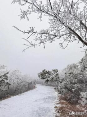 山东局部大到暴雪！日照：我这里什么时候下？